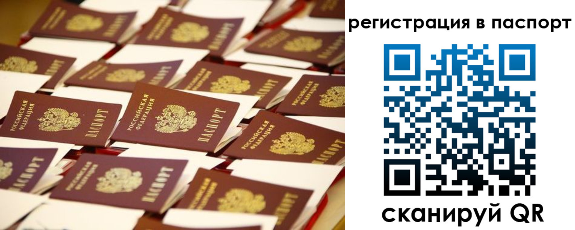 прописка гарантия в Отрадном